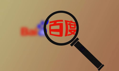 蜘蛛池新域名